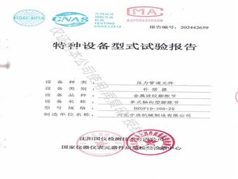 特種設(shè)備型式試驗(yàn)報告